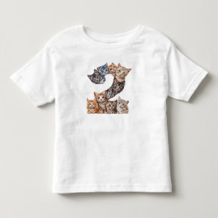 Camiseta Gatos De Gatinhos De segundo aniversário Com 2 Ano