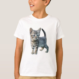 Camiseta Gatos De Gato Cujo Gato Gato Gato Gato Gatinhos An