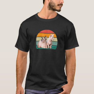 Camiseta Gatos Mamãe Gatinhos Caixa de Litro Arranhando Gat
