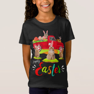 Camiseta Gatos Persianos Bonitos Que Andam Caminhão Vermelh