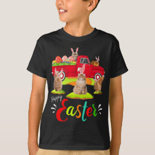 Camiseta Gatos Persianos Bonitos Que Andam Caminhão Vermelh