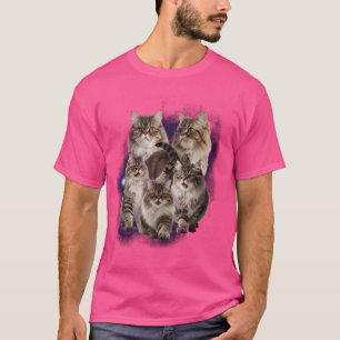 Camiseta Gatos Persianos Colidem Expressões Design engraçad