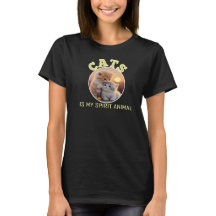 gatos são meu animal espiritual