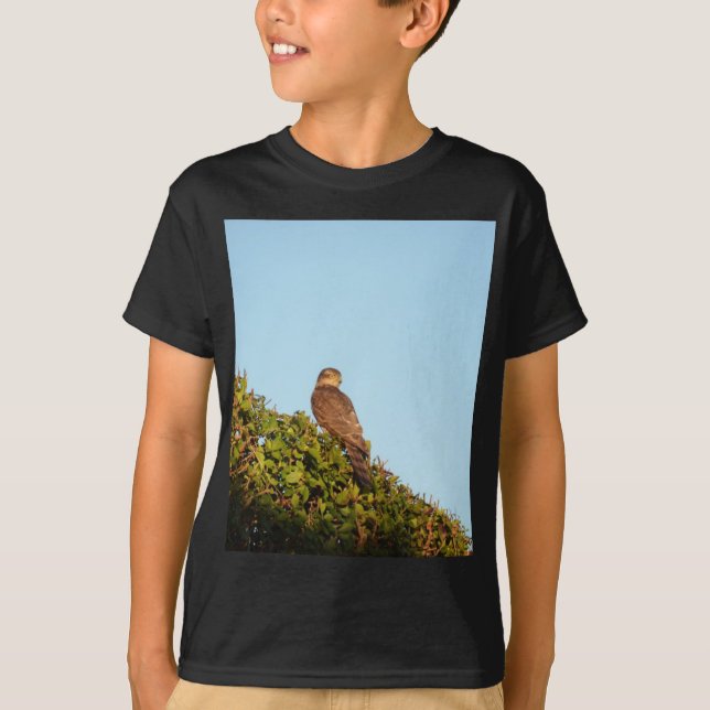 Camiseta Gavião-americano (Frente)