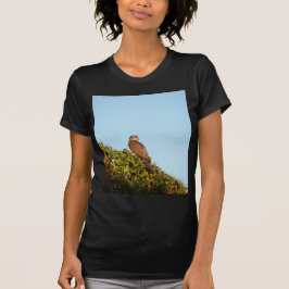 Camiseta Gavião-americano