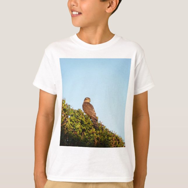 Camiseta Gavião-de-barriga-branca (Frente)