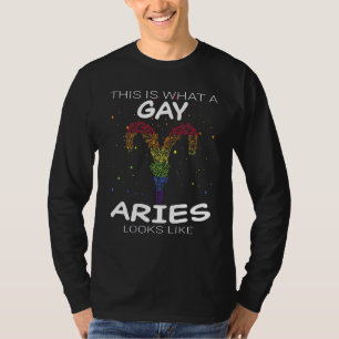 Camiseta Gay Aries Zodiac Lgbtq Orgulho gay Lgbt Prid Appar
