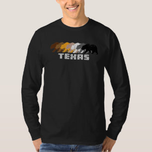 Camiseta Gay Bear Texas Pride Rainbow Vintage foi aflita