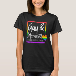 Camiseta Gay e apresentado, por favor, seja gentil, sou Tím