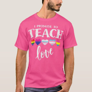 Camiseta Gay I Promete Ensinar Orgulho LGBT ao Amor Orgulho