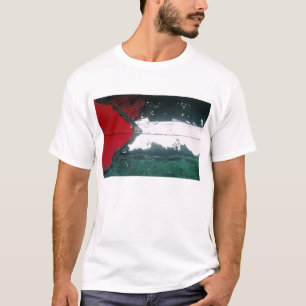 Camiseta Gaza Livre!