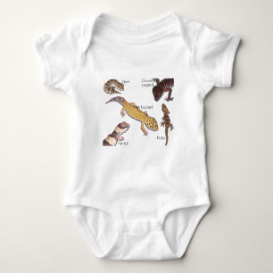 Camiseta gecos terrestres