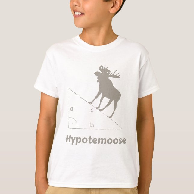 Camiseta Geek Matemático Hipotemose (Frente)
