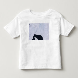 Camiseta Geleira da ilha do pinho