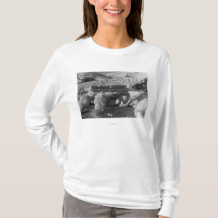 Camiseta Geleira de Taku perto fotografia de Juneau, Alaska