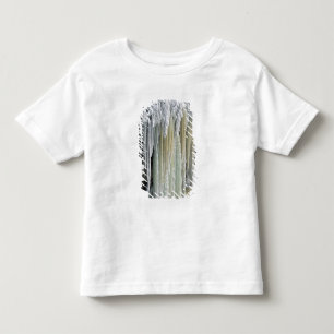 Camiseta Gelo Azul e Água Subterrânea; Tahquamenon