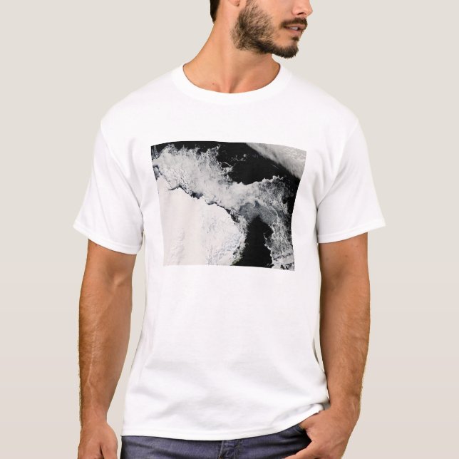Camiseta Gelo marinho no oceano Sul (Frente)