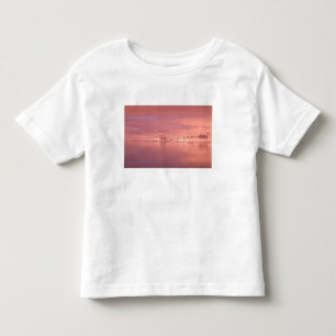 Camiseta Gelo, Neve, Icebergs nos canais ao longo da