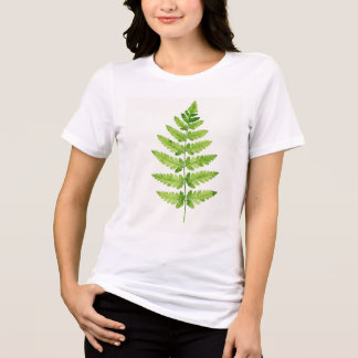 Camiseta Gênero Dryopteris