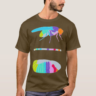 Camiseta Genes Drosophila Hox