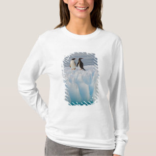 Camiseta gentoo penguin, Pygoscelis Papua, no gelo glacial