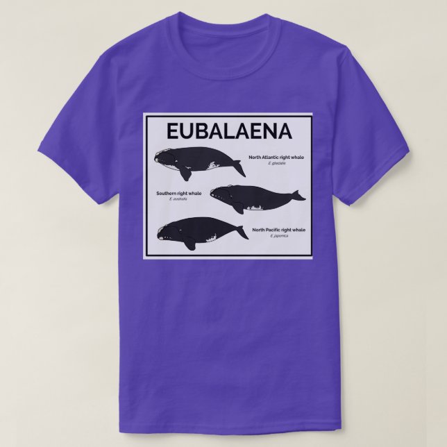 Camiseta Genus Eubalaena - Baleias à Direita (Frente do Design)