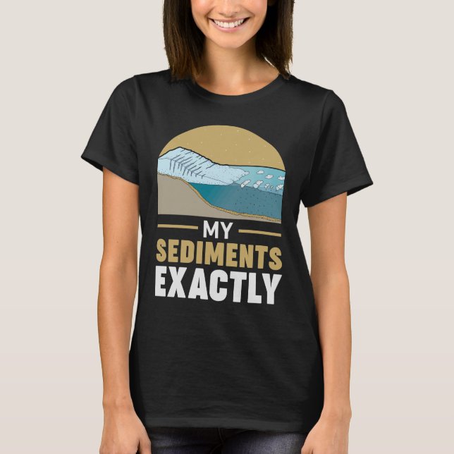 Camiseta Geology My Sediments Exatamente Geologista (Frente)