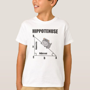 Camiseta Geometria do nerd Hipotenusa Hipotenusa Matemática