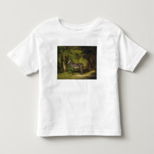 Camiseta George Stubbs A Zebra, 1763 (óleo na canvas)