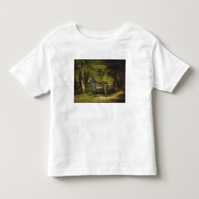 Camiseta George Stubbs| A Zebra, 1763 (óleo na canvas) (Frente)