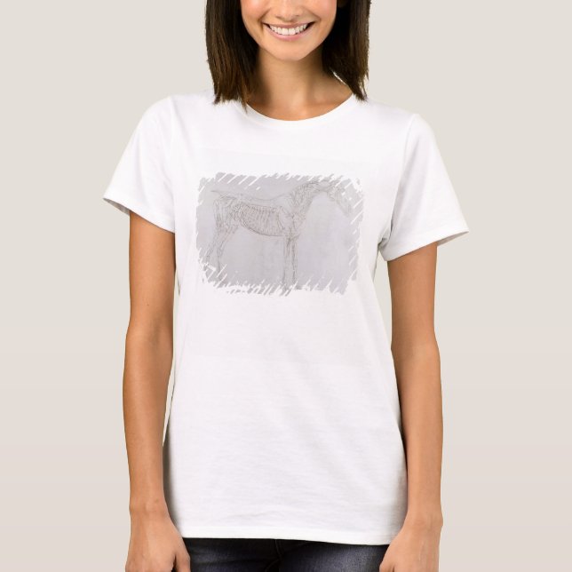 Camiseta George Stubbs | Ilustração de "Anatomia do (Frente)