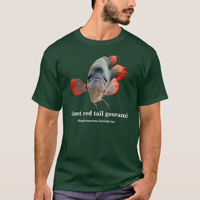 Camiseta Giant red tail gourami , Osphronemus laticlavius (Frente)