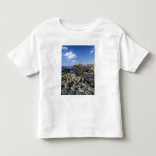 Camiseta Giants Causeway, Condado de Antrim, Irlanda do Nor