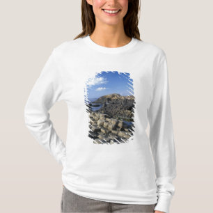 Camiseta Giants Causeway, County Antrim, Norte