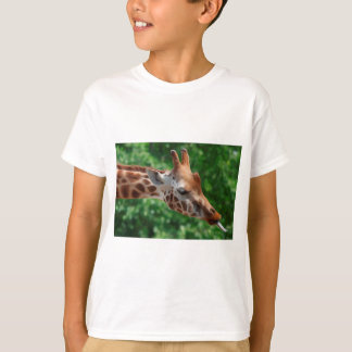 Camiseta Girafa