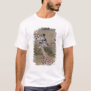 Camiseta Girafa Masai (Giraffa tippelskirchi)