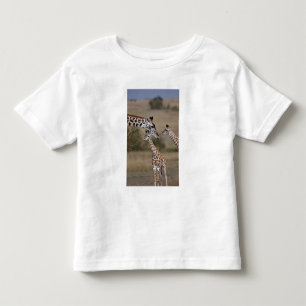 Camiseta Girafa Masai (Giraffa tippelskirchi)