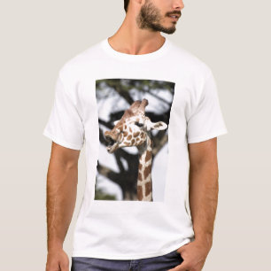 Camiseta Girafa reticulada de cara engraçada, São Francisco