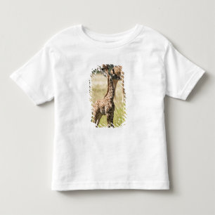 Camiseta Girafas Masai, Girafa camelopardalis 2