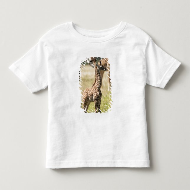 Camiseta Girafas Masai, Giraffa camelopardalis 2 (Frente)