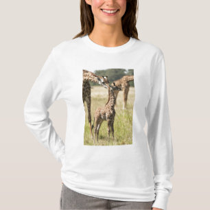 Camiseta girafas Masai, Giraffa camelopardalis 2