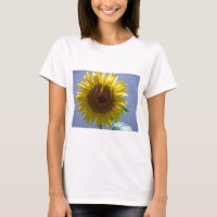 Girassol Amarelo