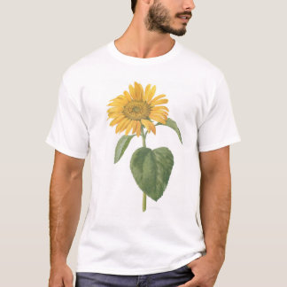 Camiseta girassol no branco