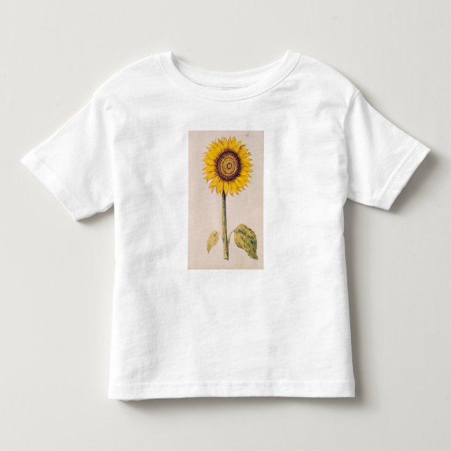 Camiseta Girassol ou Helianthus (Frente)