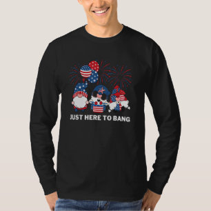Camiseta Gnomos Patrióticos Americanos Apenas Aqui Para Ban