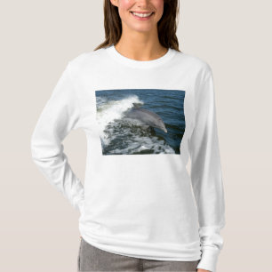 Camiseta Golfinho de Bottlenose
