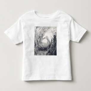 Camiseta Golfinho do tufão no mar filipino
