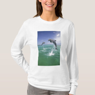 Camiseta Golfinho-nariz-de-garrafa Tursiops truncatus
