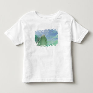 Camiseta Golfinho-nariz-de-garrafa Tursiops truncatus)
