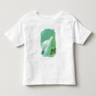 Camiseta Golfinho-nariz-de-garrafa Tursiops truncatus